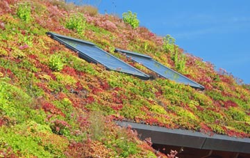 Morthen living roof systems